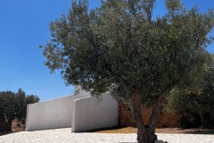 02d92b1b-19f5-434c-b409-234cc33e106a